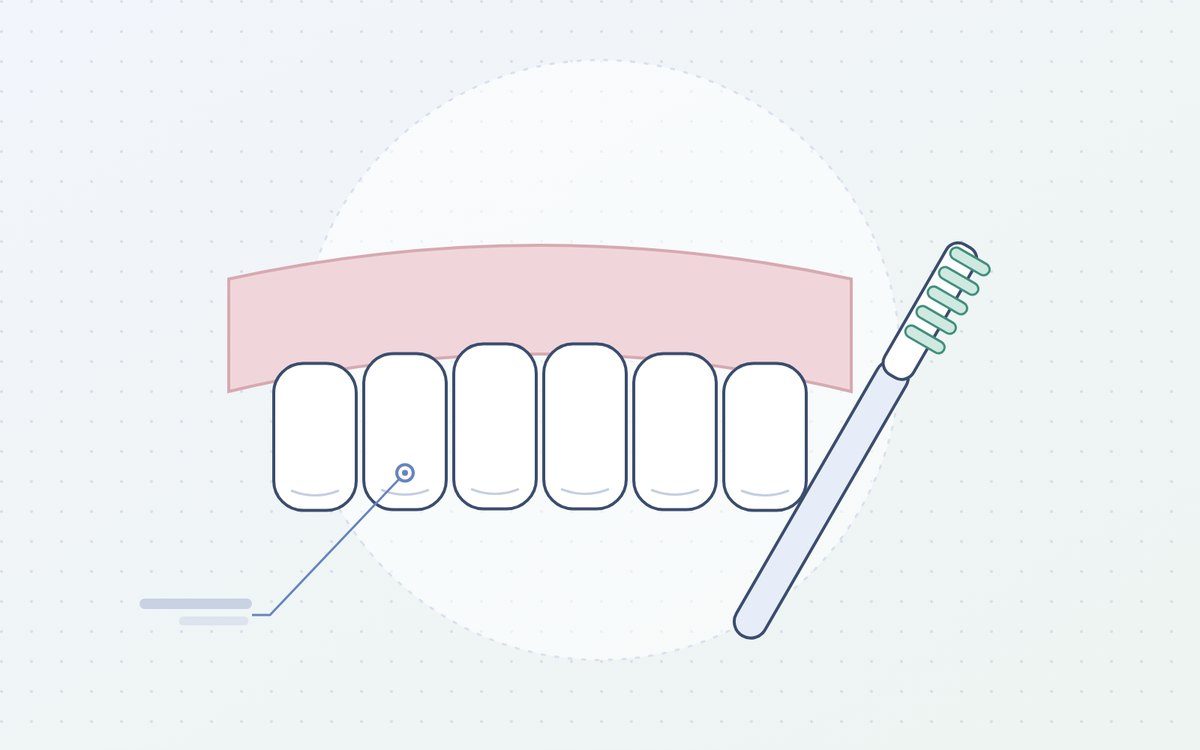 Ilustración: cepillo dental junto a los dientes